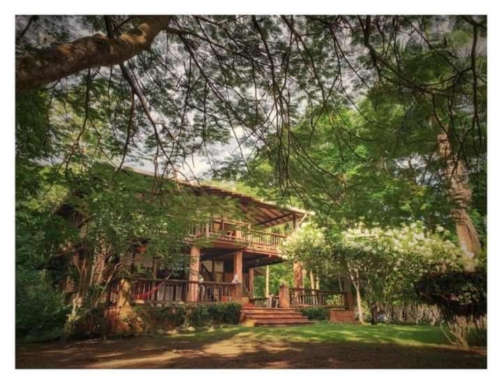 Hotel Ceiba Bonga Acandi Exterior photo
