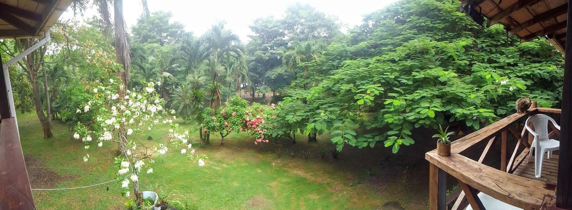 Hotel Ceiba Bonga Acandi Exterior photo